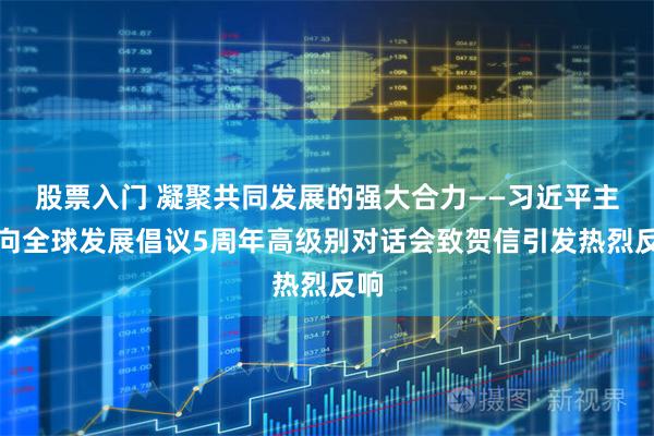 股票入门 凝聚共同发展的强大合力——习近平主席向全球发展倡议5周年高级别对话会致贺信引发热烈反响